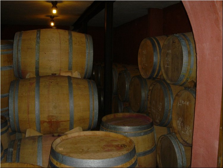 Clos Martinet Cellar 4.JPG