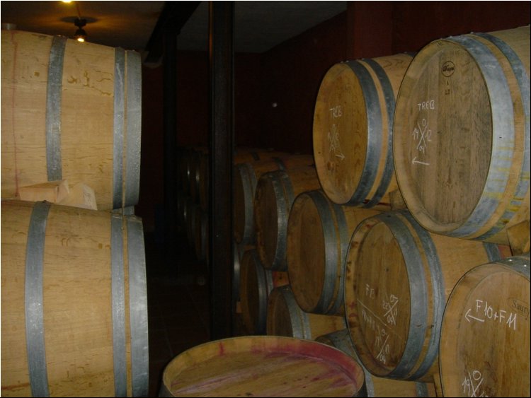Clos Martinet Cellar 5.JPG