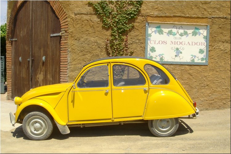 Photo  38.JPG