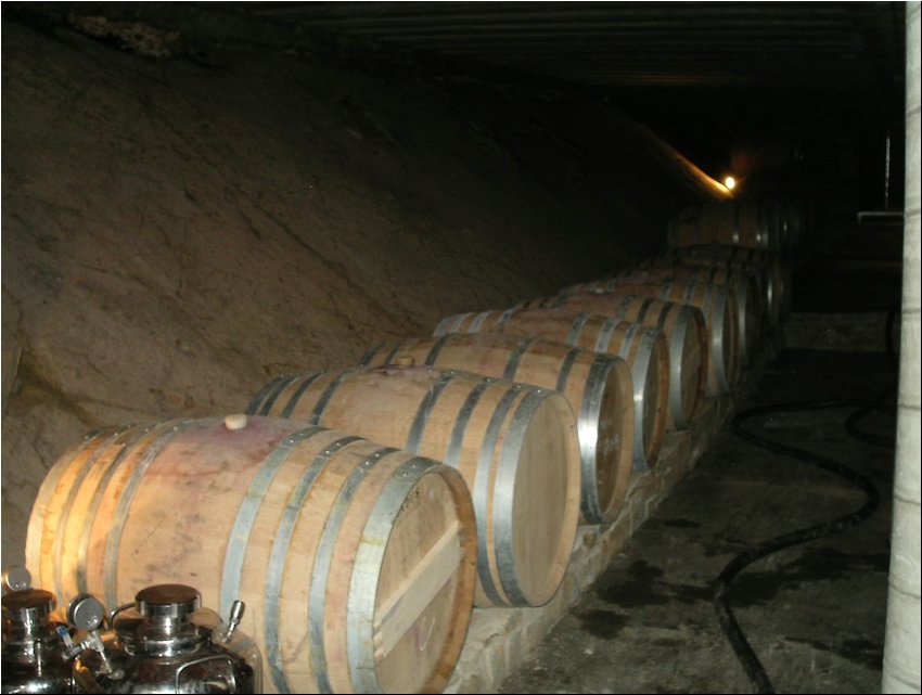 Clos Mogador 3B.JPG