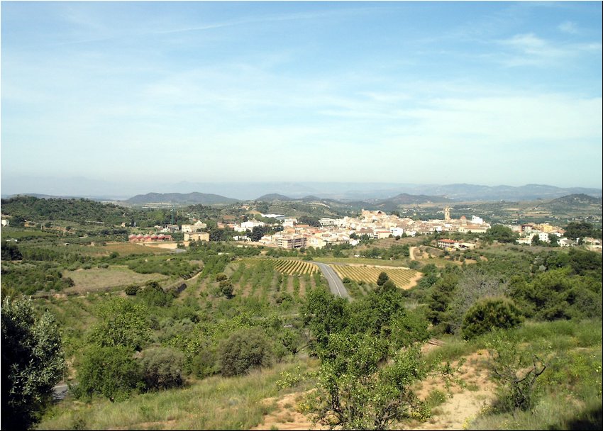 Priorat Wine Region.JPG