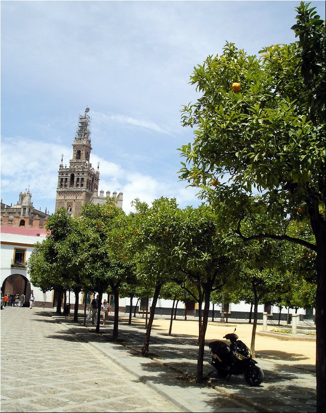 Alcazar Cathedral view.JPG