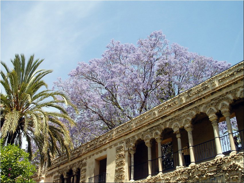 Alcazar Gardens 3A.JPG