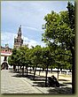 Alcazar Cathedral view.JPG