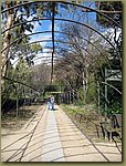 Madrid Botanic Garden 6.JPG