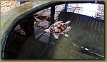 20181204_113555.jpg