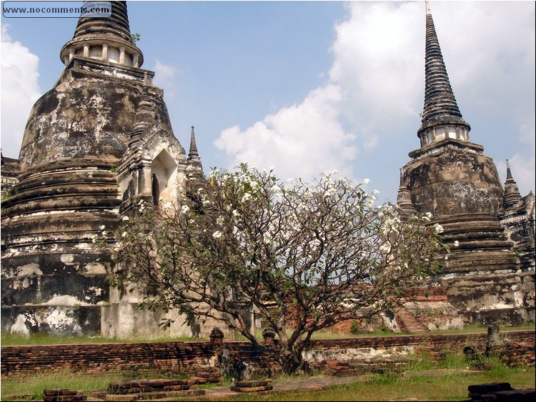 Ayutthaya - ruins.JPG