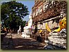 Ayutthaya - ruins  -  Wat Maha That.JPG