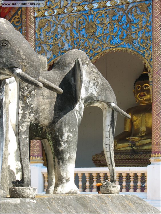 Elephant Temple - 4 Chiang Mai.jpg