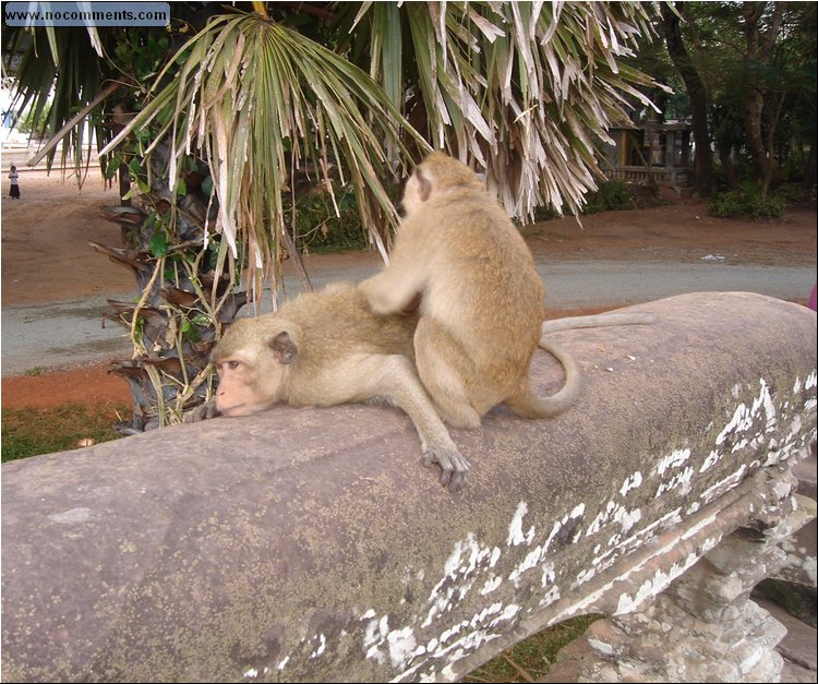 Angkor Wat - Thai Massage.JPG