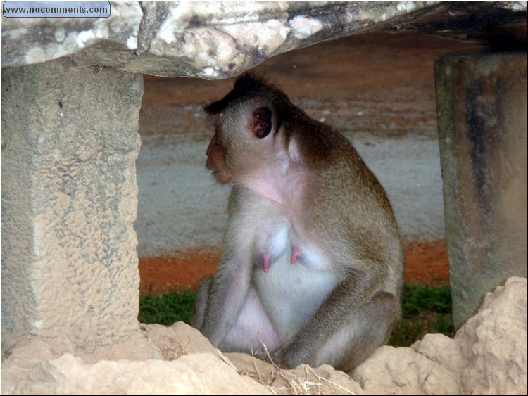 Angkor Wat - naked 0.JPG