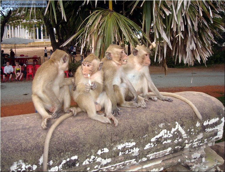 Angkor Wat - passing a fatty.JPG