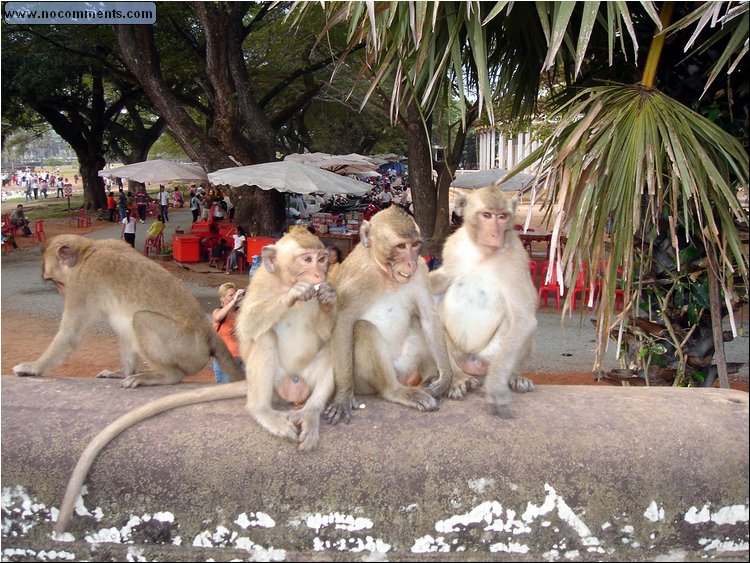 Angkor Wat - sealing the joint.JPG