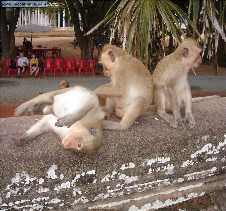 Angkor Wat - third wheel.JPG