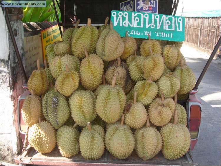 Durian, the fruit.JPG