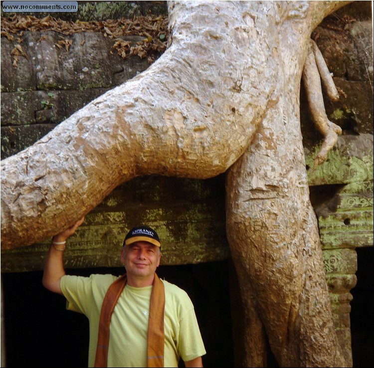 Ta Prohm Temple - giant root looking like piece of....root ;).JPG