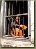 Burmese Novice Monk.JPG