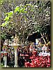 Spirit Houses 2, Lamphoon.jpg