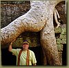 Ta Prohm Temple - giant root looking like piece of....root ;).JPG