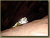 Phuket - James Bond Island looking up.JPG