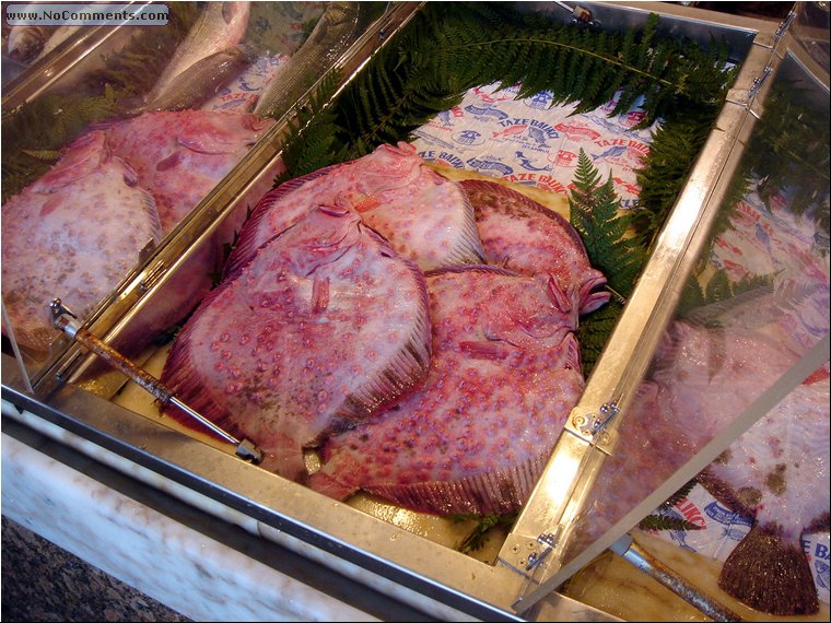Fresh Turbot - delicious!.JPG
