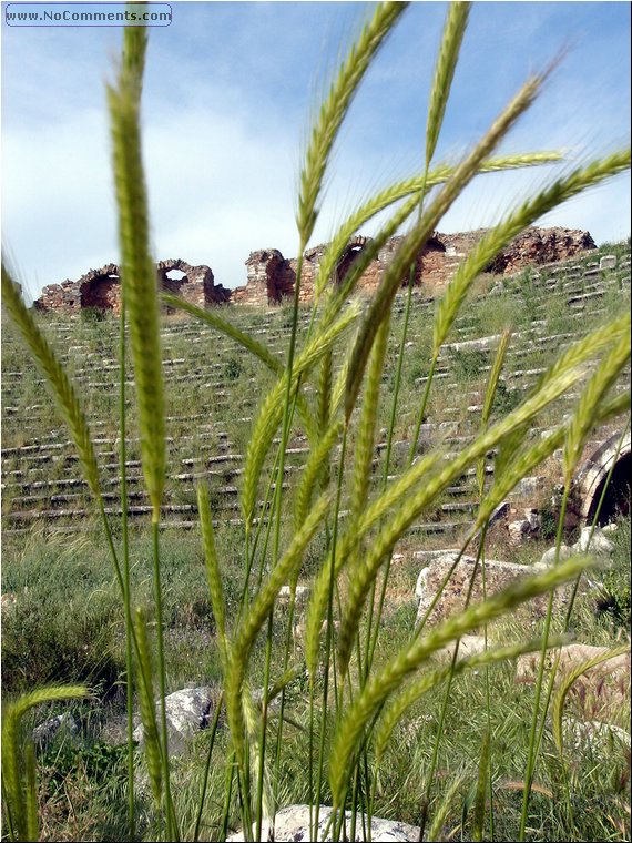 Aphrodisias stadium 3c.JPG