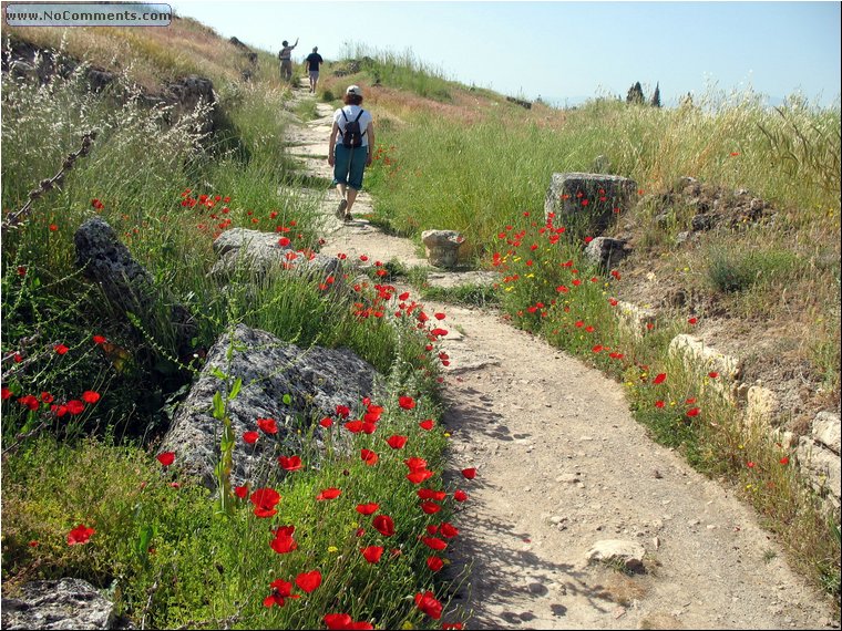 Hierapolis road to the theater.jpg