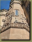 20250526_155729.jpg