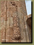 20250527_104236.jpg