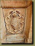 20250527_105355.jpg