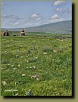 20250528_092638.jpg