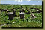 20250528_101121.jpg