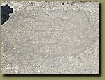 20250526_104829.jpg