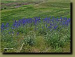 20250527_132634.jpg