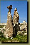 20250516_145540.jpg
