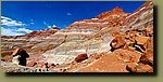 20210605_165806.jpg