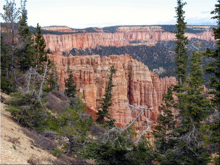 Bryce Canyon 2g.jpg