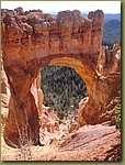 Bryce Canyon Natural Bridge.JPG
