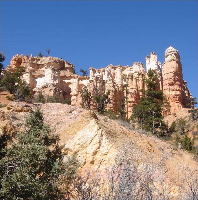 Dixie National Forest 2.JPG