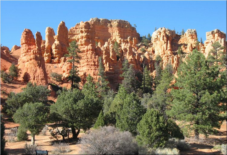 Dixie National Forest 3.jpg