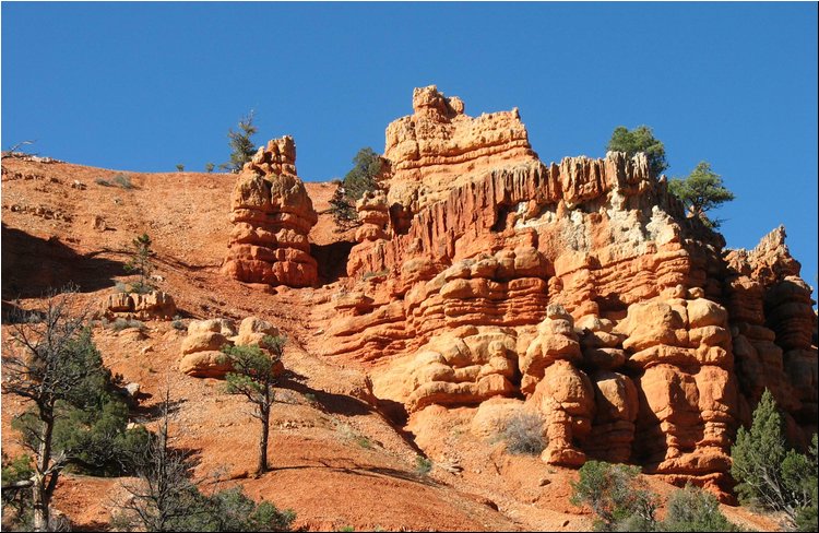 Dixie National Forest 5.jpg