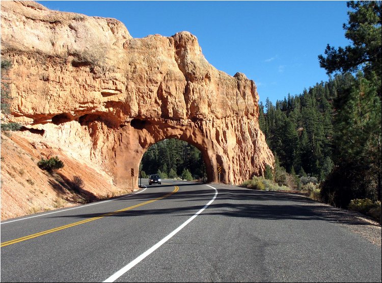 Dixie National Forest 6.jpg