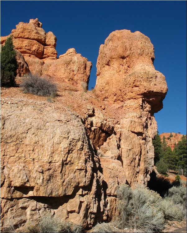 Dixie National Forest camel.jpg