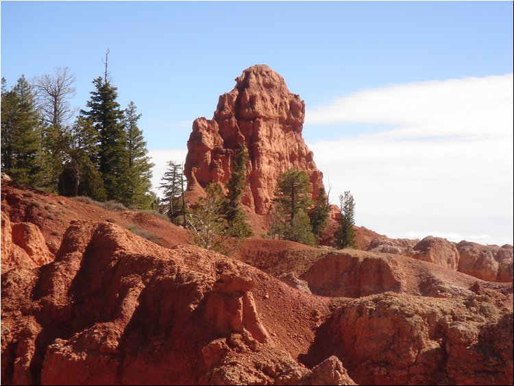 Dixie National Forest.JPG