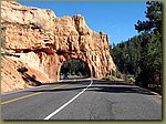 Dixie National Forest 6.jpg