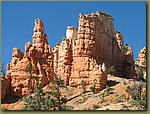 Dixie National Forest 9.jpg