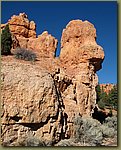 Dixie National Forest camel.jpg