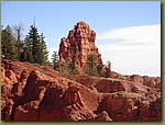 Dixie National Forest.JPG