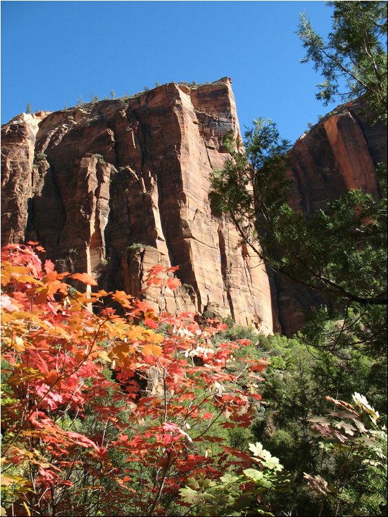 Zion National Park 1.jpg