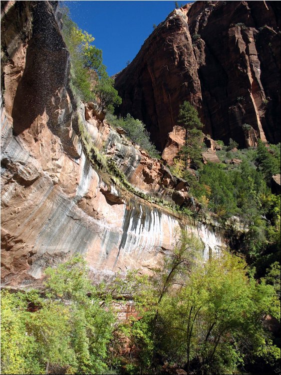 Zion National Park 1a.jpg